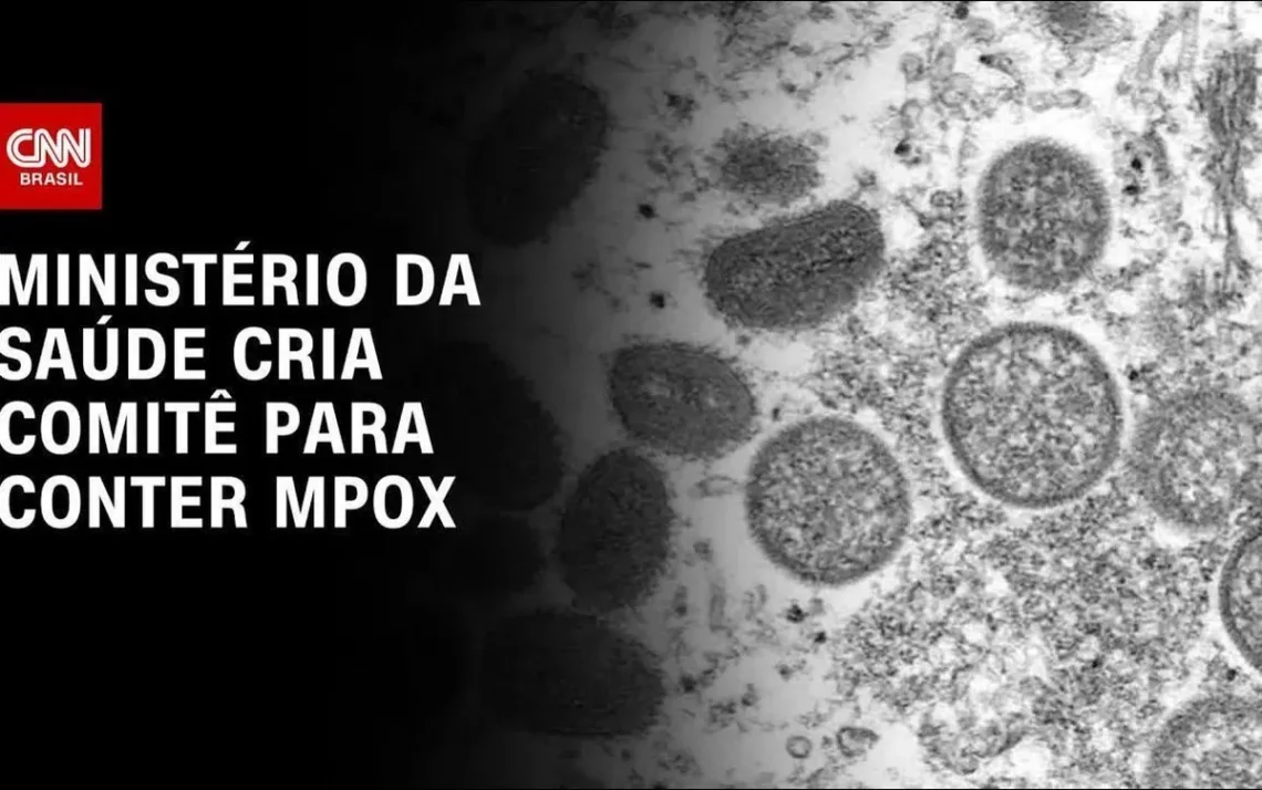 vírus, Zika, infecção, pelo Zika, vírus