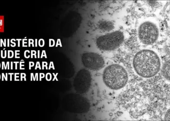 vírus, Zika, infecção, pelo Zika, vírus