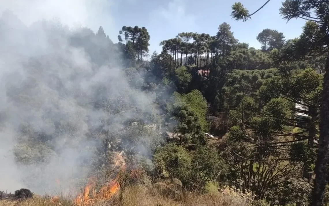 incêndios, focos, de incêndio