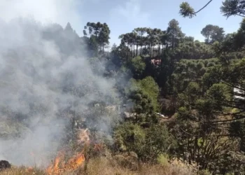 incêndios, focos, de incêndio