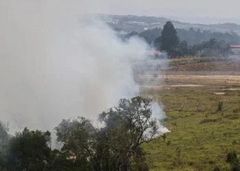 crimes de incêndio, atear, fogo intencional