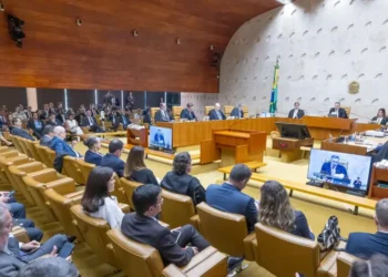 interrupção voluntária da gravidez, interrupção da gestação, procedimento de interrupção da gravidez;