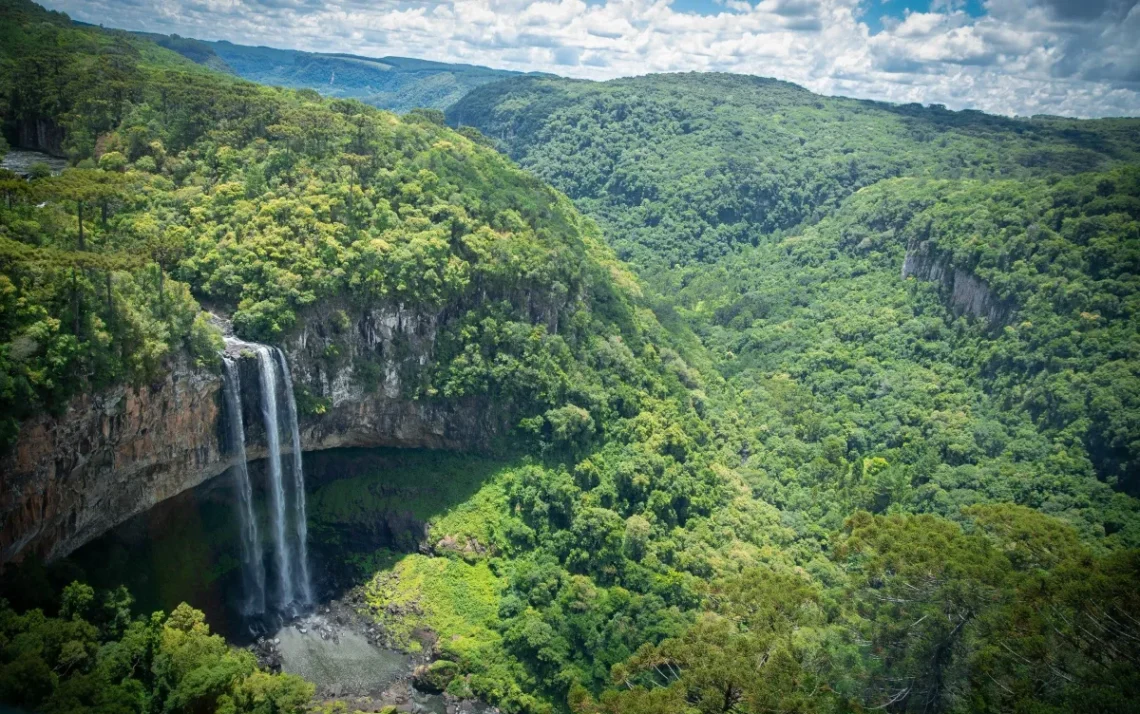 Floresta Atlântica