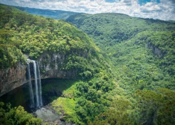 Floresta Atlântica