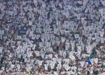 Mancha, Alviverde, torcida, organizada, estádios, de São Paulo,