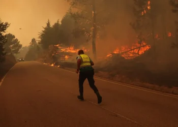 Incêndios, Florestais, Incêndios Devastadores;