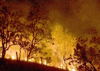 incêndios, focos, de calor;